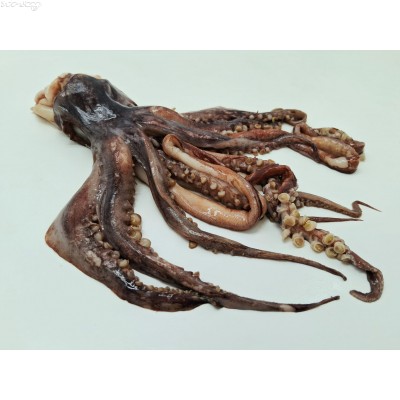 A32 中國急凍魷魚頭(即魷魚鬚，約450g/包，2~3隻，抽真空包裝)網購原價HK$35.00/包，會員價HK$30.00/包